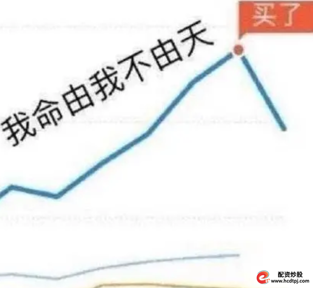 配资牛市_牛8配资_配资牛是干嘛的