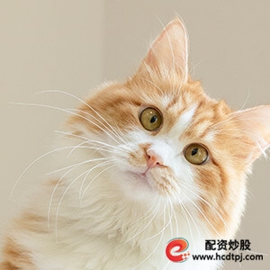 股票配资咨询_股票配资证监会批准_股票配资非法经营罪