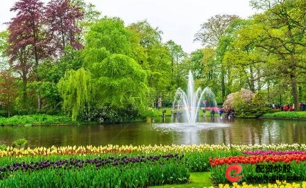 向太投资经验_向太商业头脑_股票怎么玩