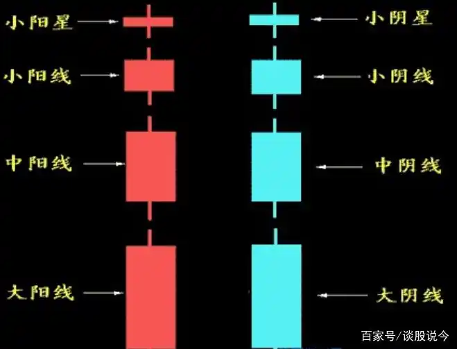 炒股亏损原因_中国股市投资指南_杠杆炒股家破人亡
