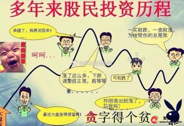 中国股市投资指南_杠杆炒股家破人亡_炒股亏损原因