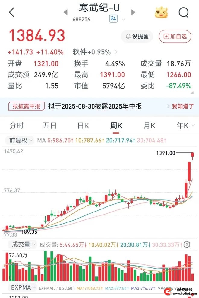 网上股票配资_A股散户投资_寒武纪投资价值分析