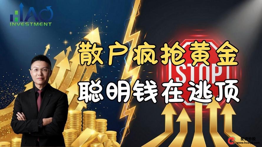 寒武纪投资价值分析_A股散户投资_网上股票配资