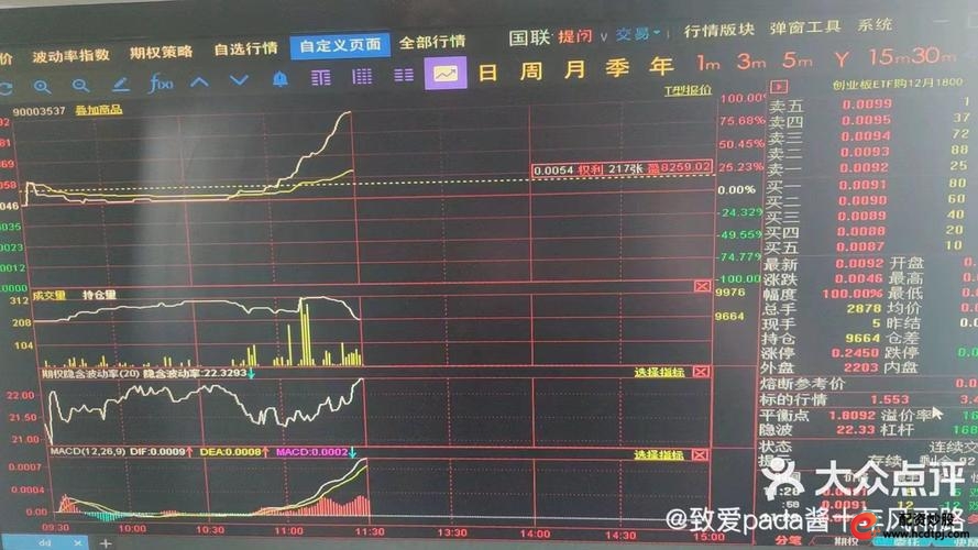中国股市杠杆合理性_中国股票融资盘杠杆率_股票杠杆