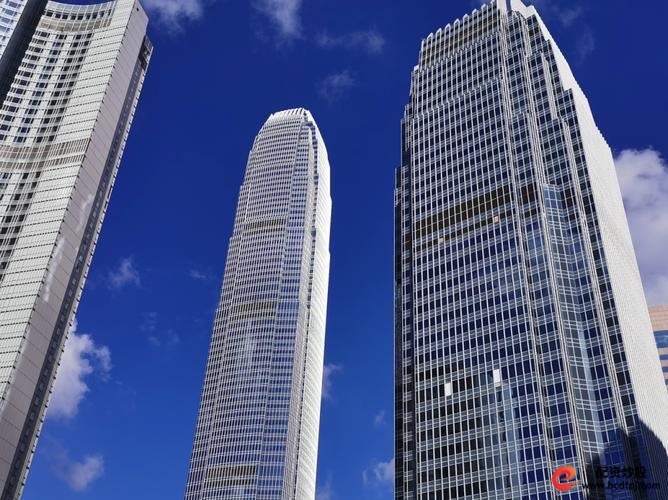 沪深港通成交额增长_杠杆交易平台_香港资本市场增长
